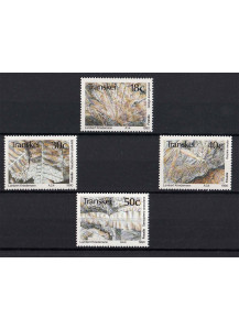 TRANSKEI 4 francobolli fossili di Piante 1990 Nuovi